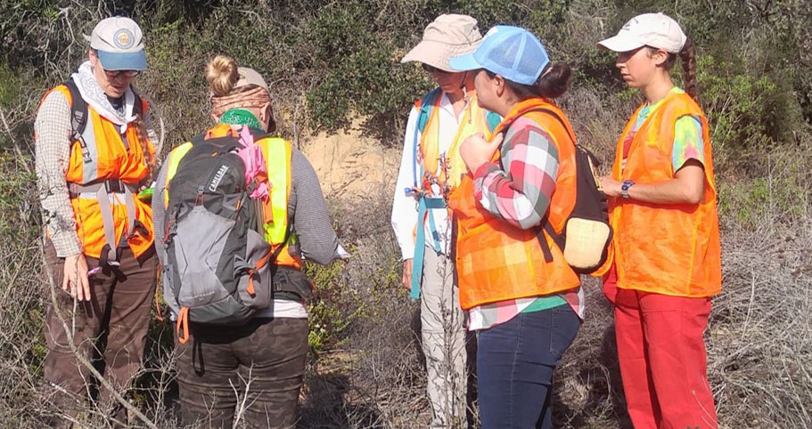 Site Training group